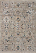 7'10 x 10'10 Rug T3602