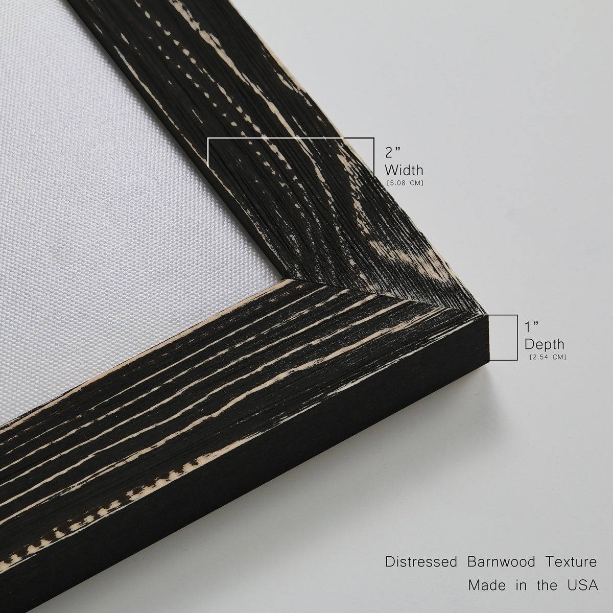 Framed Canvas D424883