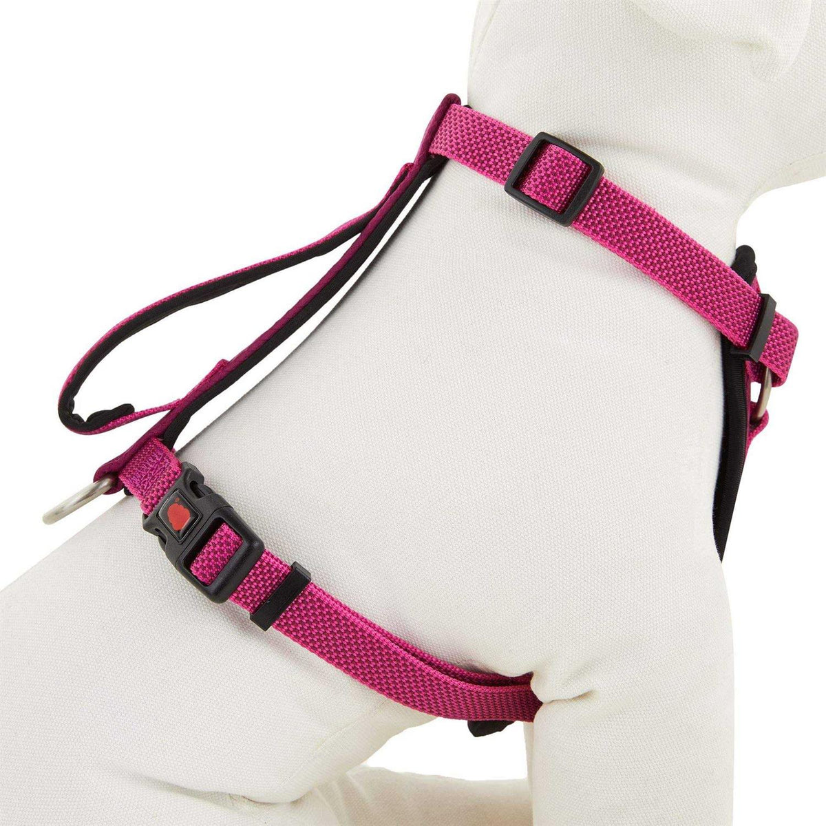 Padded Dog Harness W241217