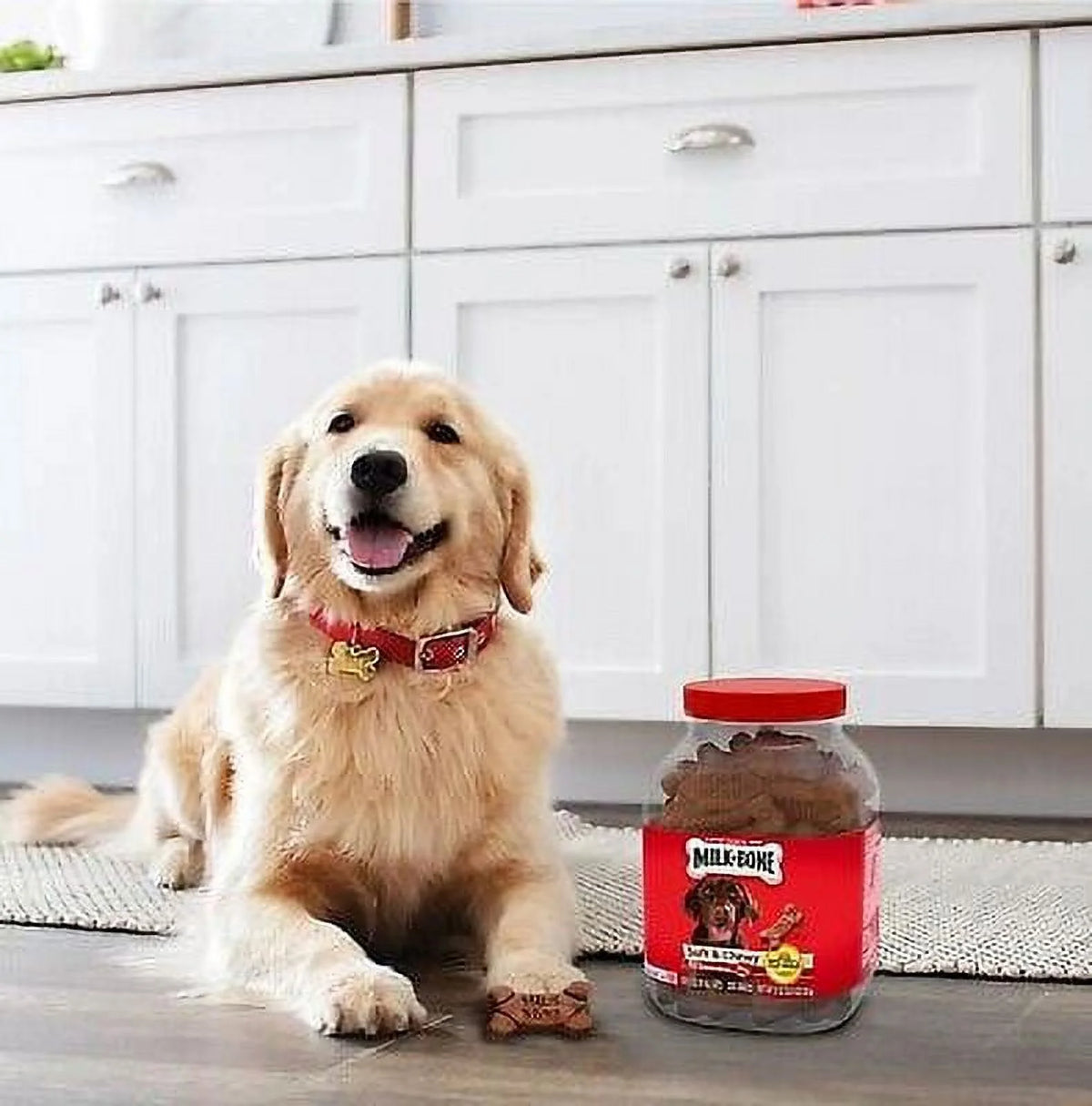 Soft & Chewy Dog Snacks 37 oz W8957