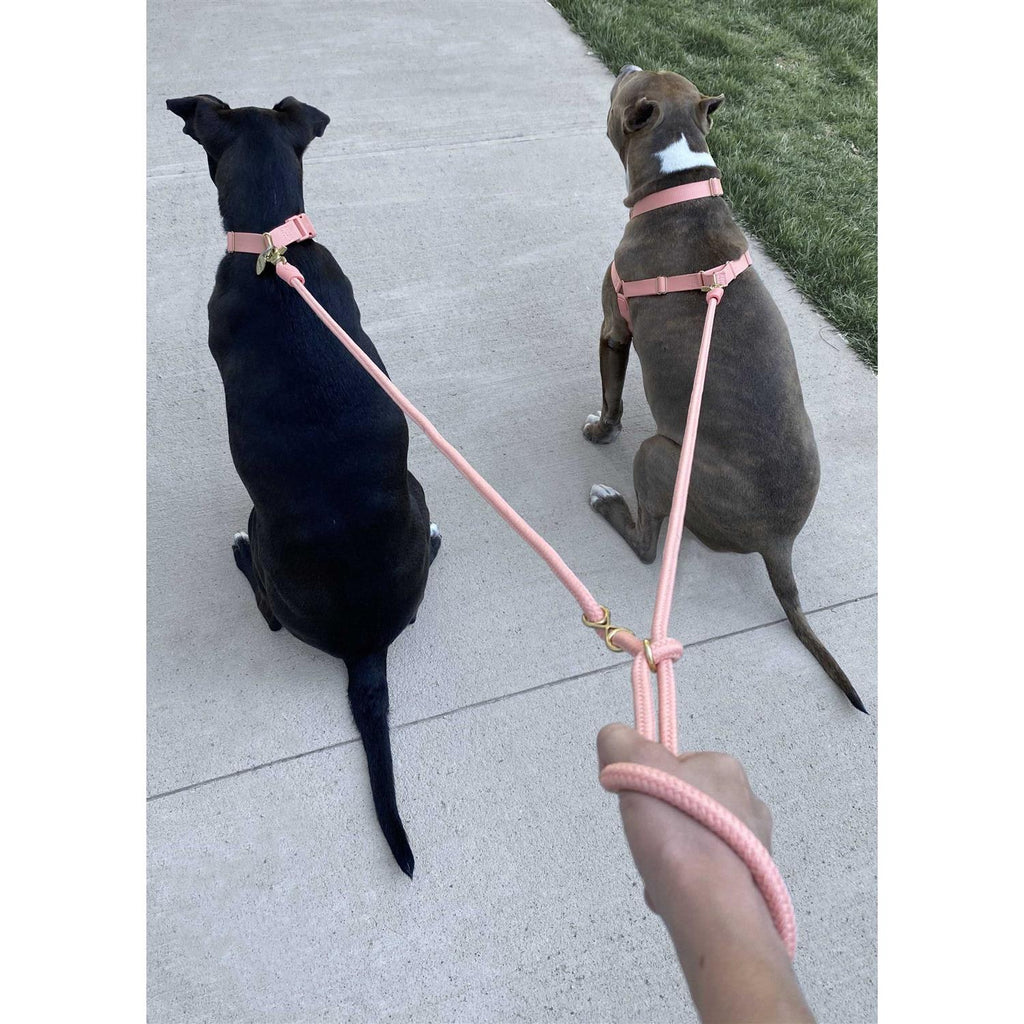Pet Leash H785