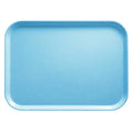 37 cm x 53 cm Tray Z400205