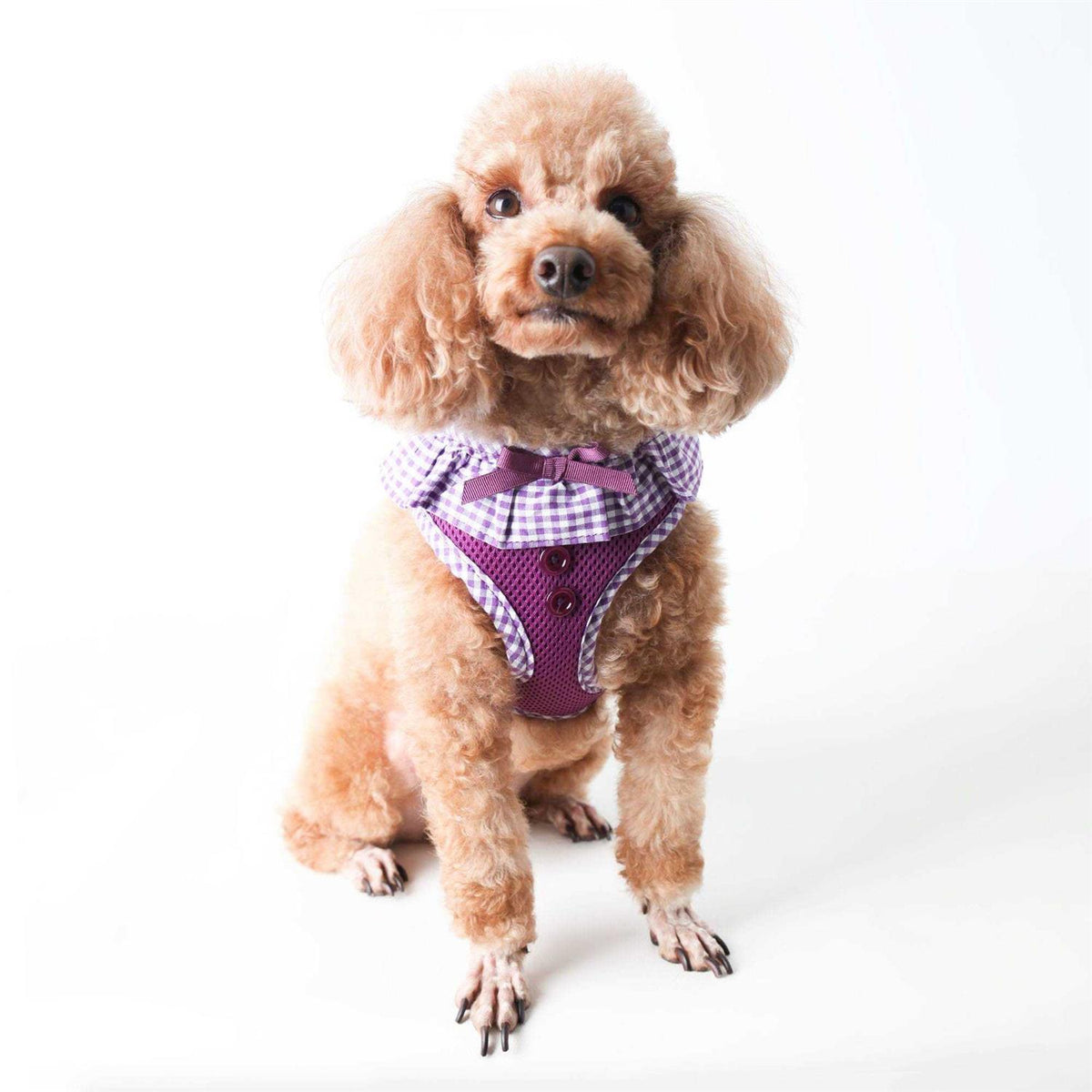 Pet Harness S263