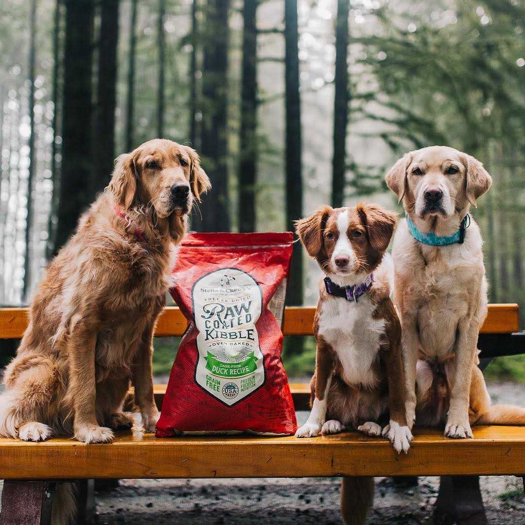 Duck Raw Coated Kibble Dog Food O186