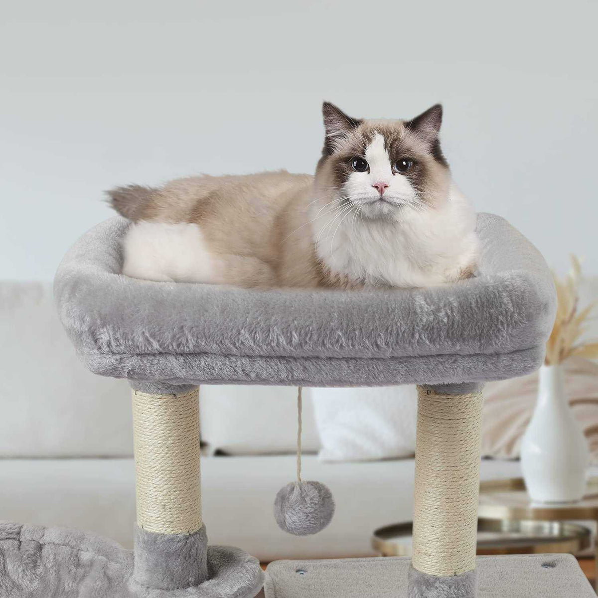 Cute Cat Tree Kitten Cat Tower with Sisal Scratching Posts T618