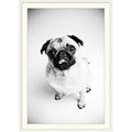 Photographic Print White Frame 26x22 H x 20x22 W x 1x22 D R769001