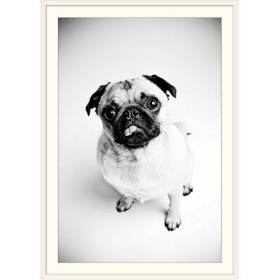 Photographic Print White Frame 26x22 H x 20x22 W x 1x22 D R769001