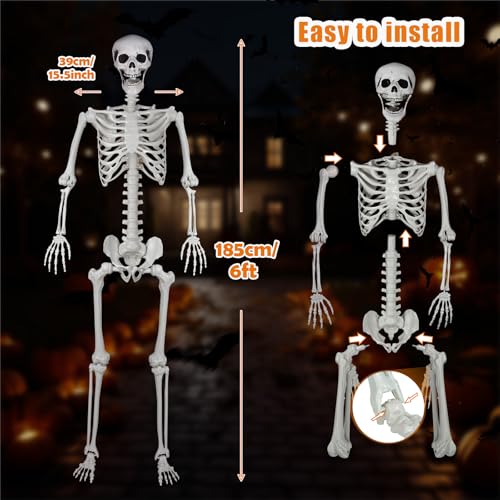Posable Life Size Skeleton with Movable Joints E64200