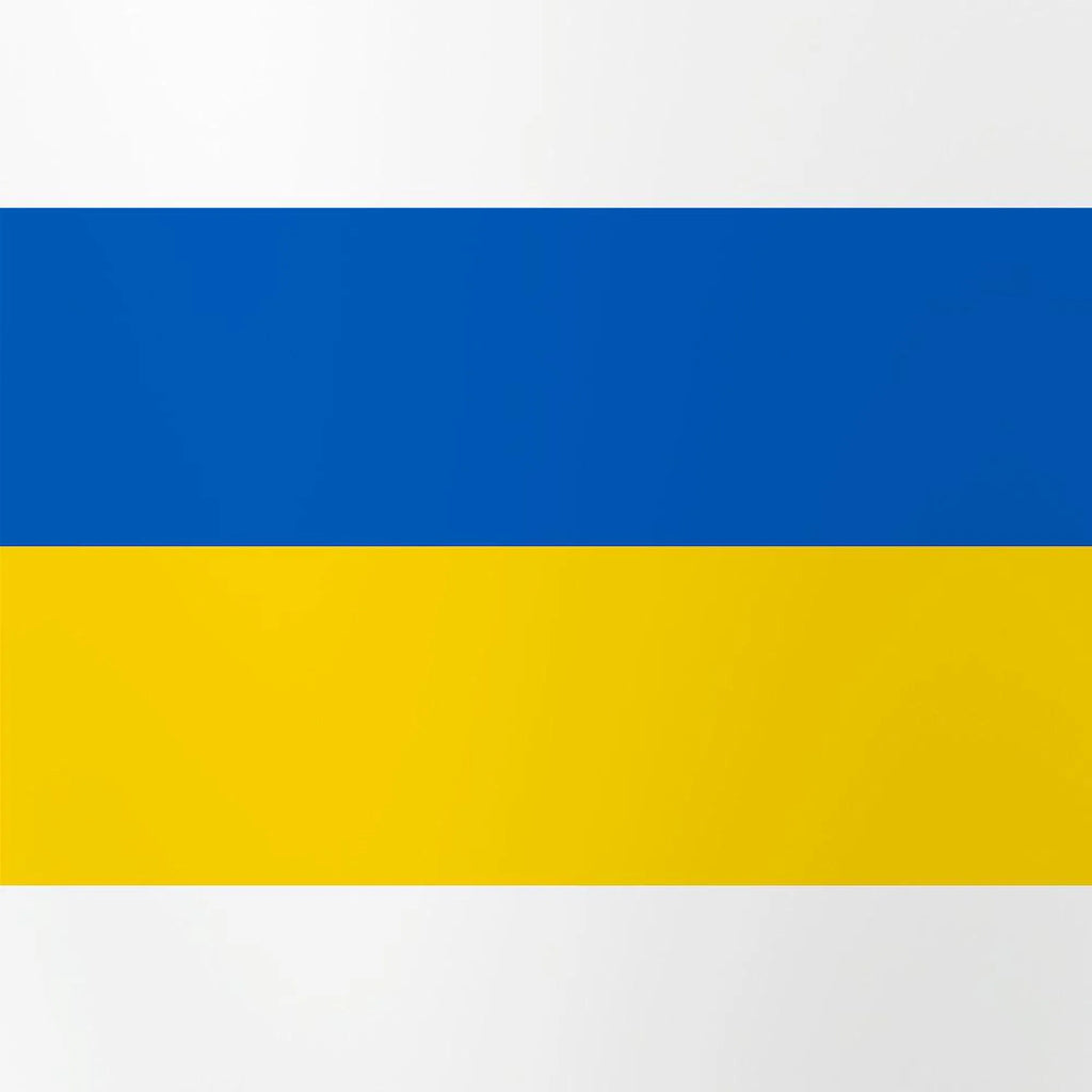 Flag Of Ukraine 16 oz Pint Glass X720