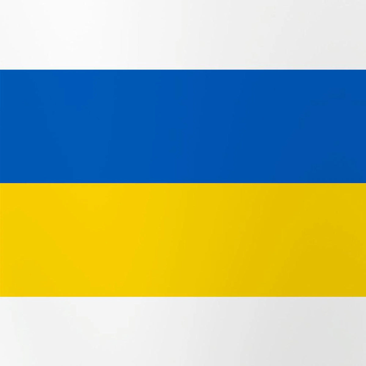 Flag Of Ukraine 16 oz Pint Glass X720