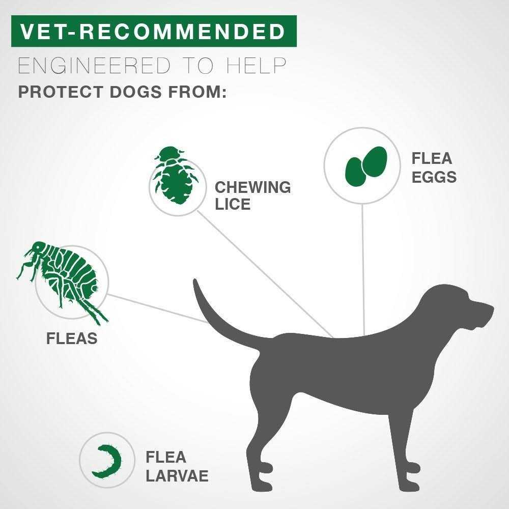 Advantage II for Dogs C348