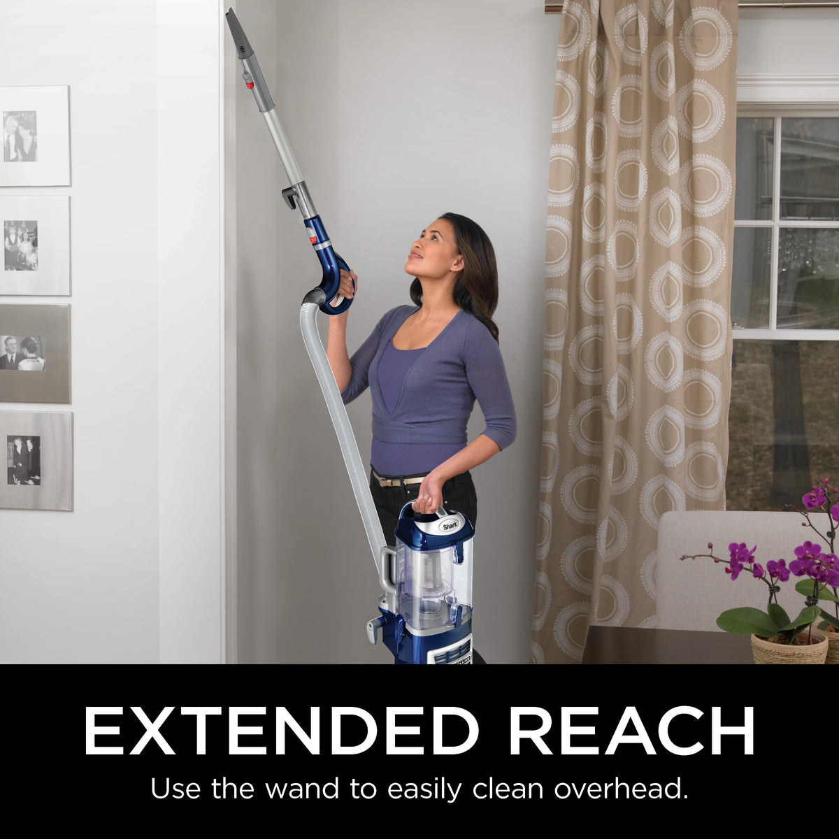 Bagless Upright Vacuum Cleaner R68025