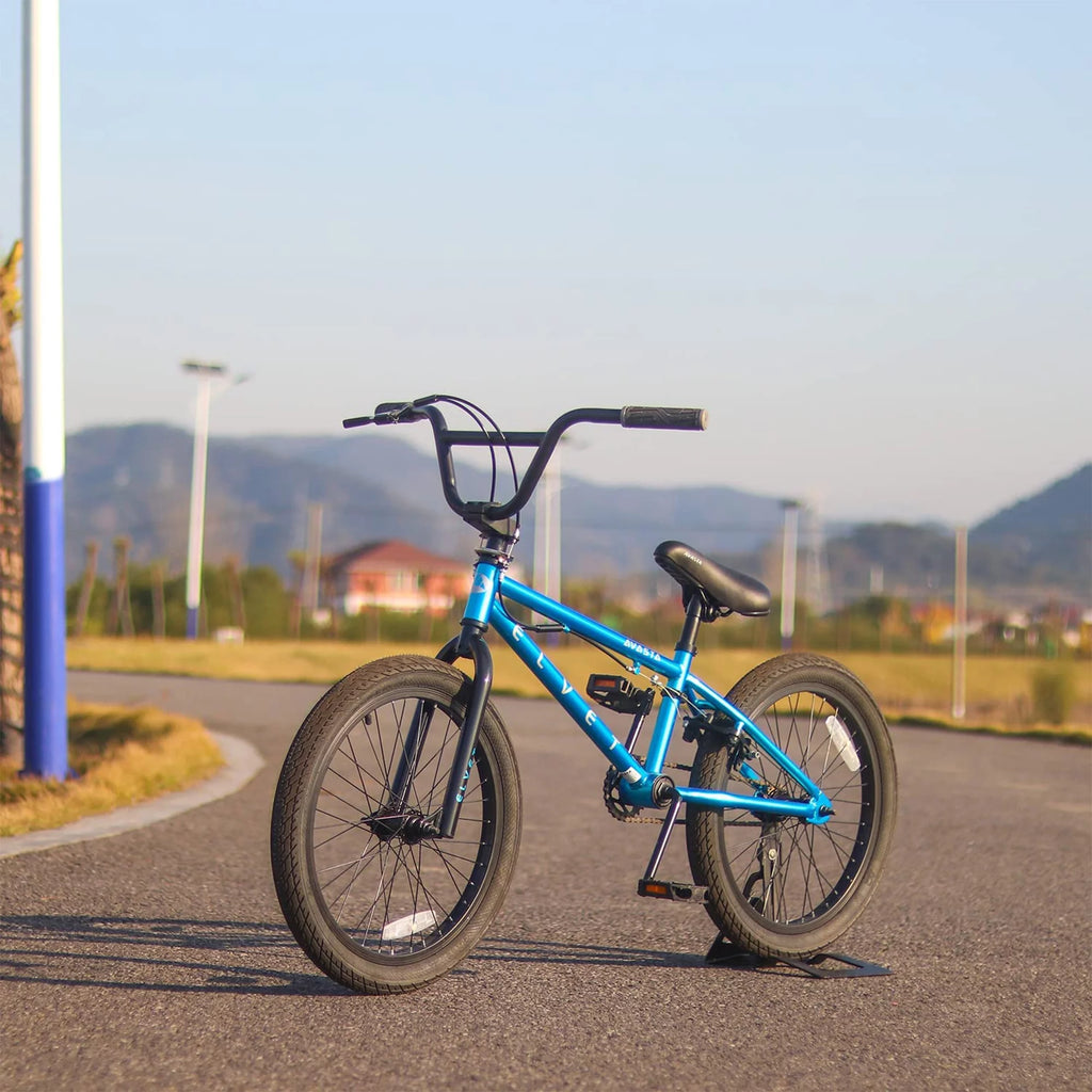 20 Inch Blue Kid BMX Bicycle J20600