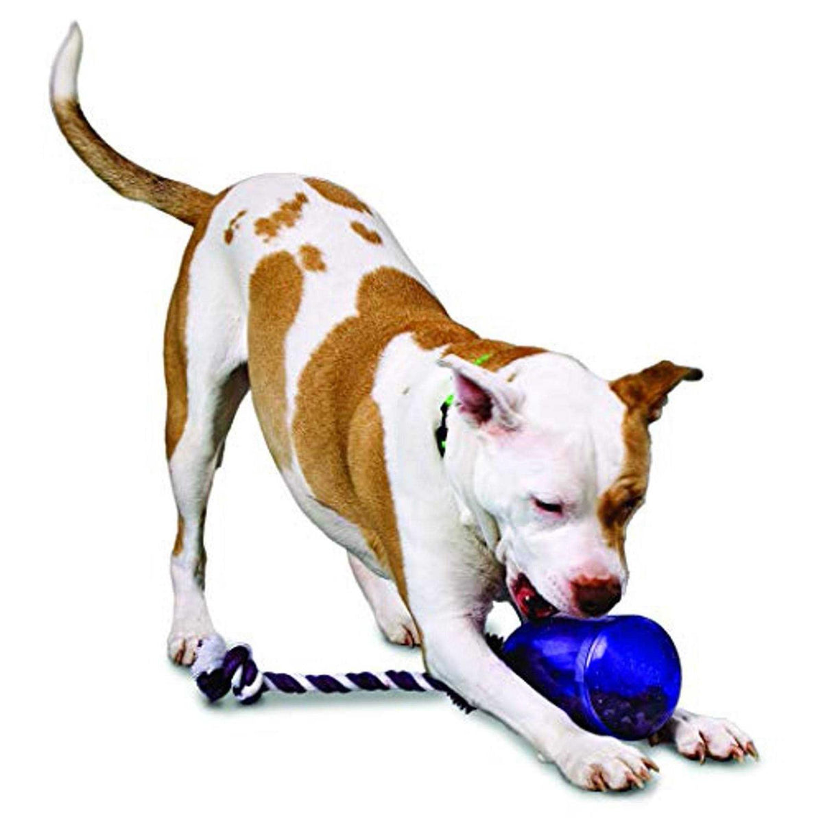 Pet Supplies X5642