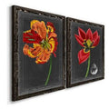 Framed Print F40891