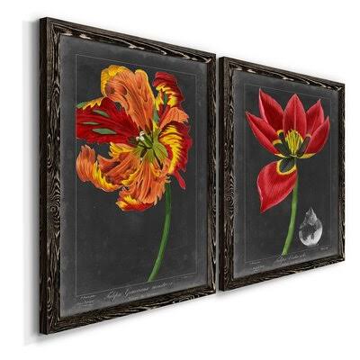 Framed Print F40891
