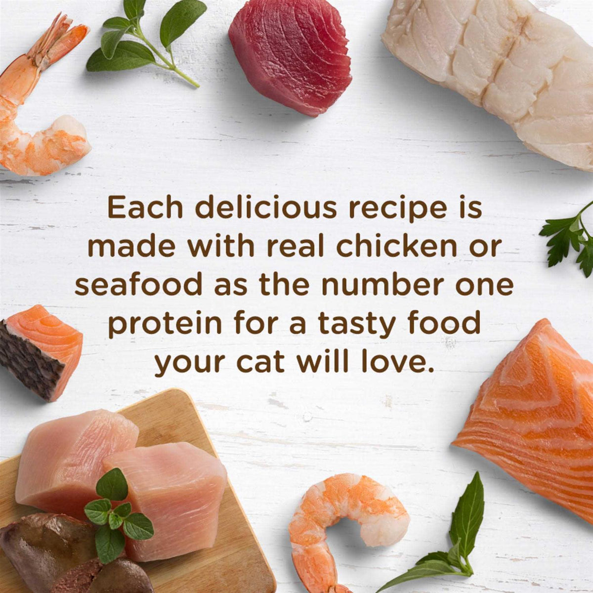 Wet Cat Food Ocean Fish 2.8 oz F194412
