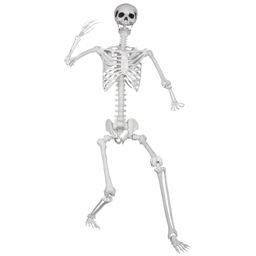 Posable Life Size Skeleton with Movable Joints E64200