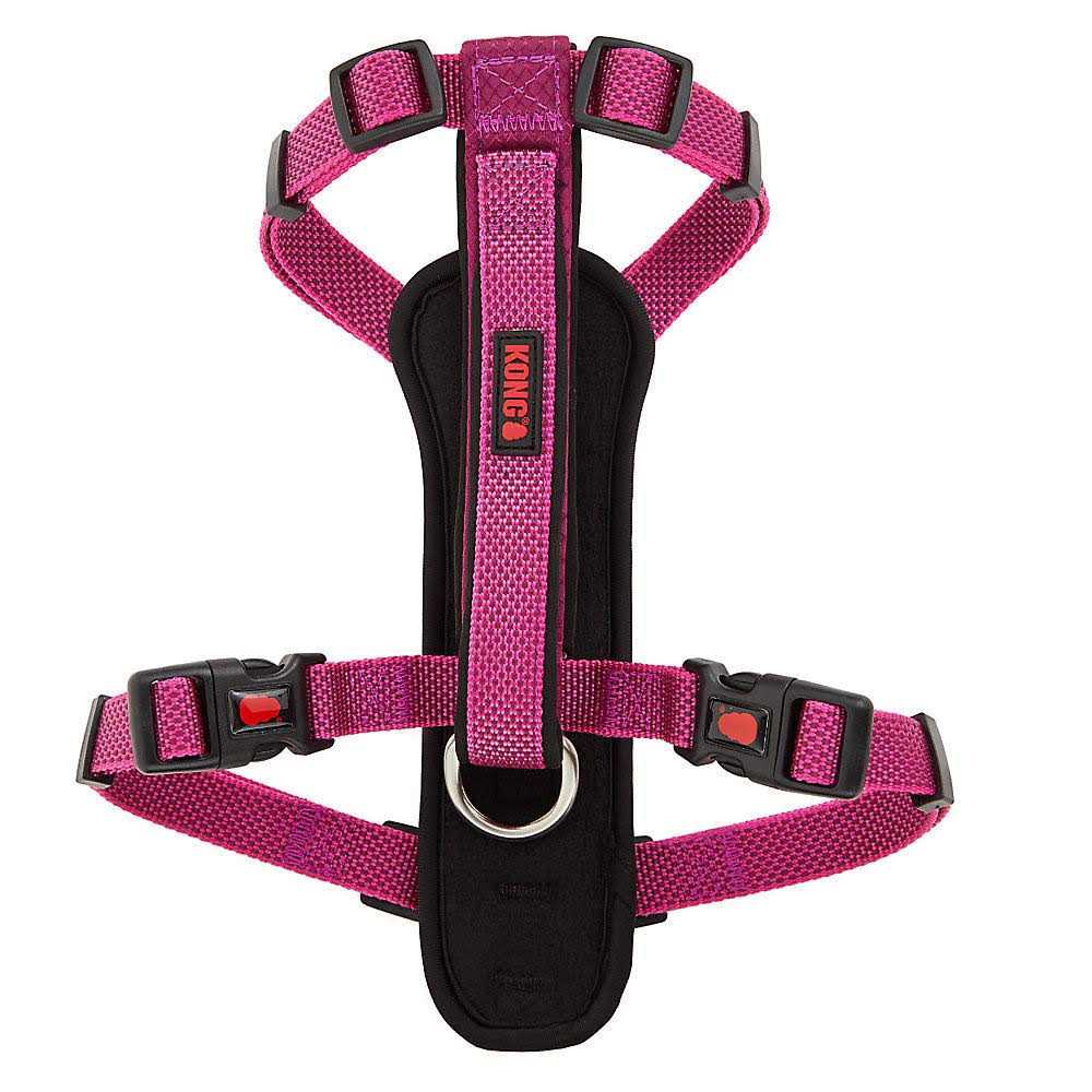 Padded Dog Harness W241217