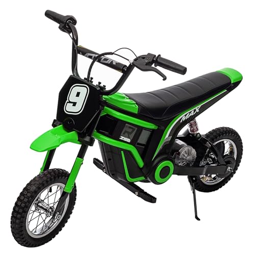 350W 24V Electric Dirt Bike for Kids 8-12 M701204