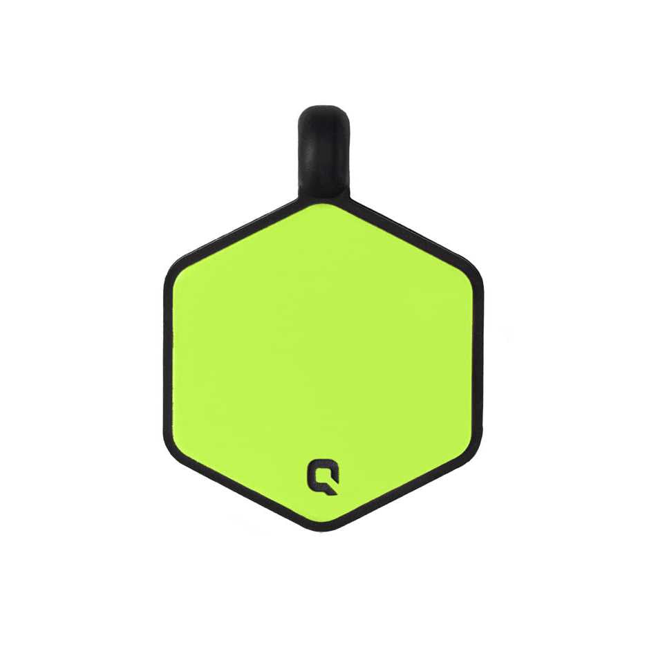 Silicone Dog ID Tag K34219