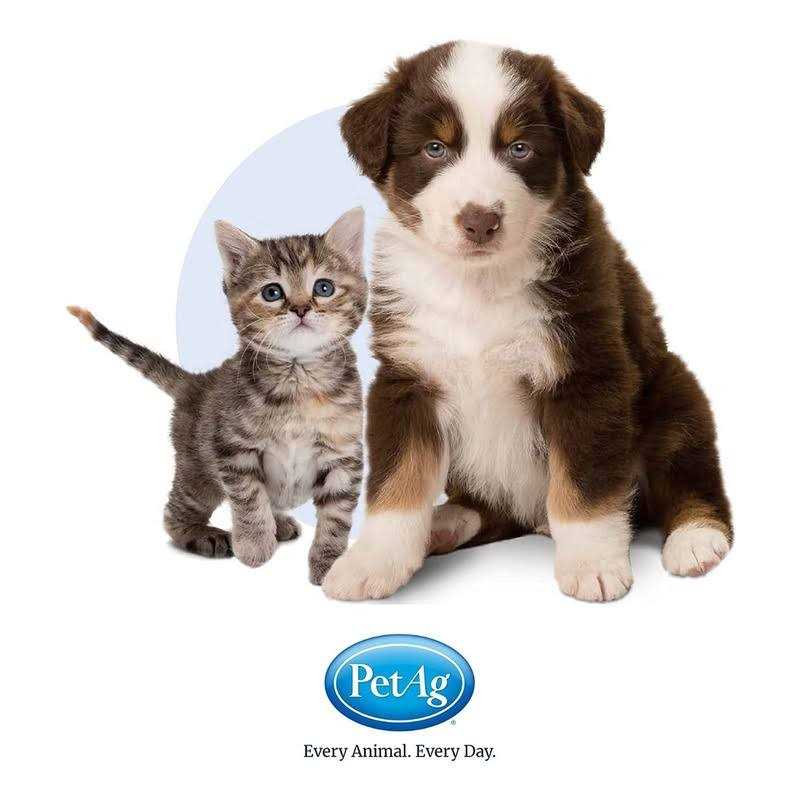Cat Gel S741