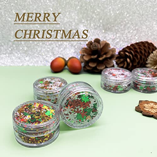15 Colors Holographic Chunky Cosmetic Sequins with Brush 5 Spoons V3318