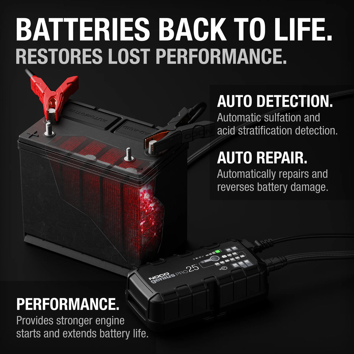 6V/12V/24V Smart Battery Charger and Maintainer P6162