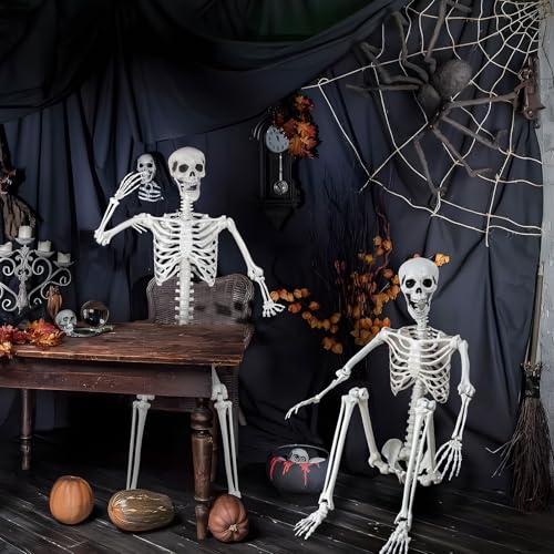 Posable Life Size Skeleton with Movable Joints E64200