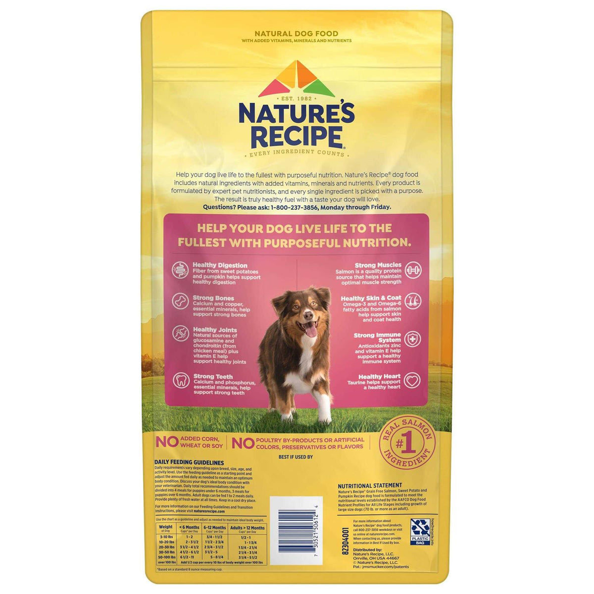 Grain Free Salmon Sweet Potato & Pumpkin Dry Dog Food M799892