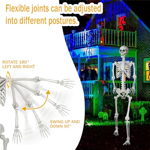 Posable Life Size Skeleton with Movable Joints E64200