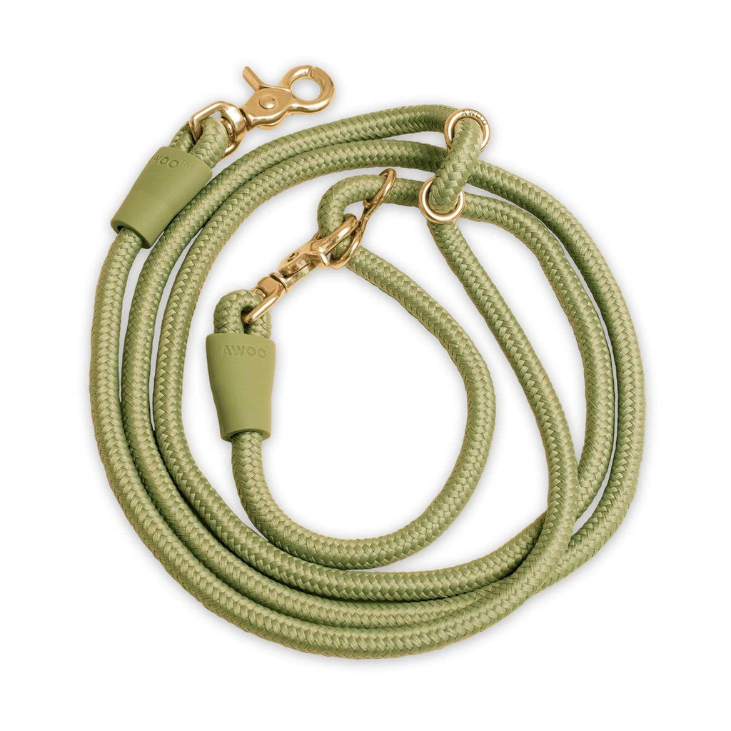 Pet Leash H785