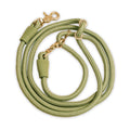 Pet Leash H785