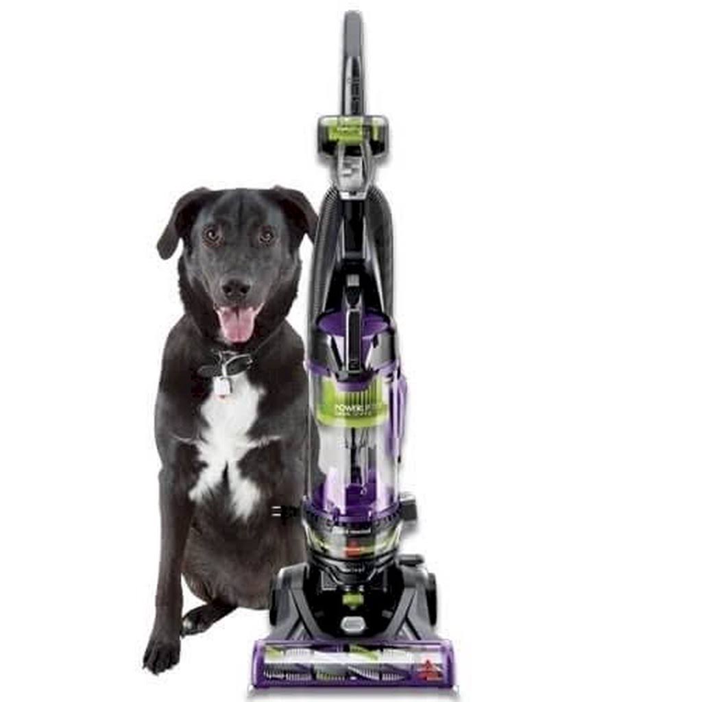 Bagless Swivel Upright Vacuum D447