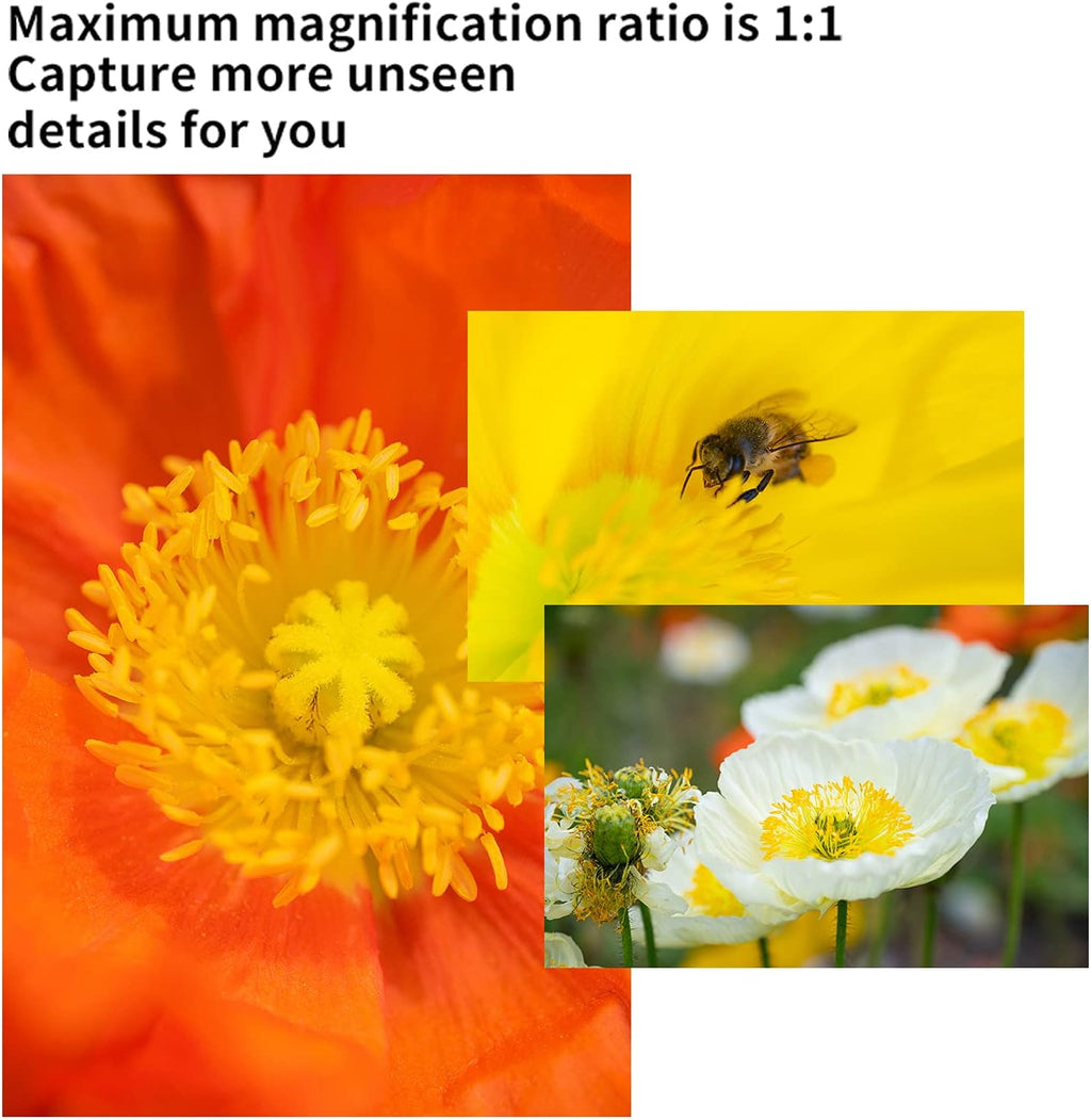60mm F2.8 II Manual Focus APS-C Macro Lens for Fujifilm X-Mount Cameras G11698