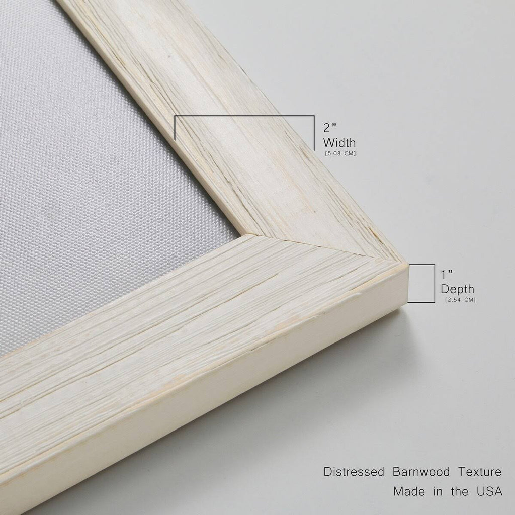 Framed Canvas D424883