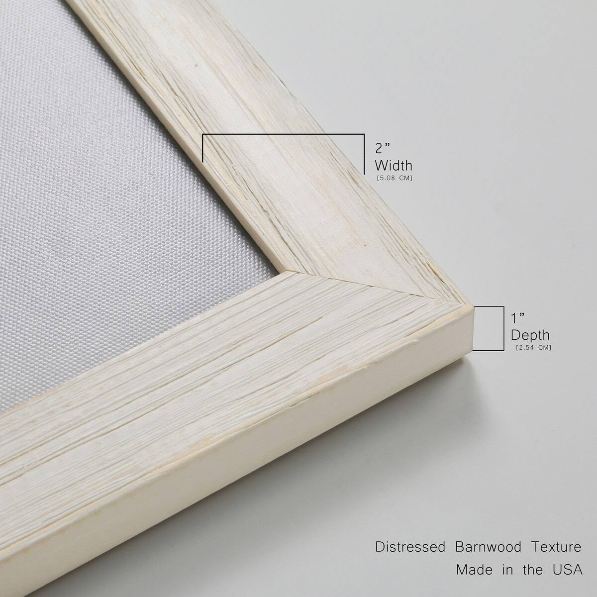 Framed Canvas D424883