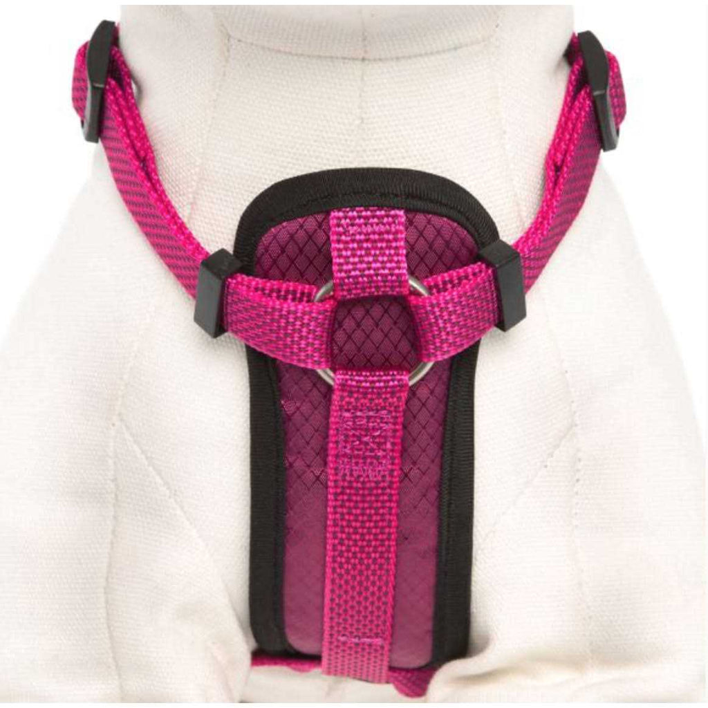 Padded Dog Harness W241217