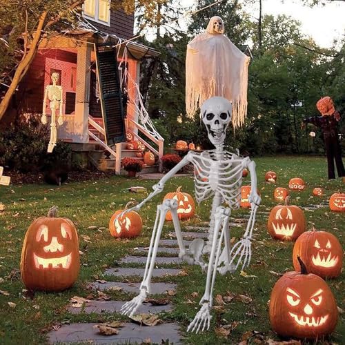 Posable Life Size Skeleton with Movable Joints E64200