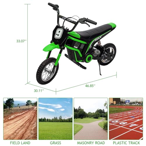 350W 24V Electric Dirt Bike for Kids 8-12 M701204