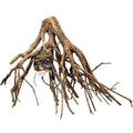 Mangrove Root D8560
