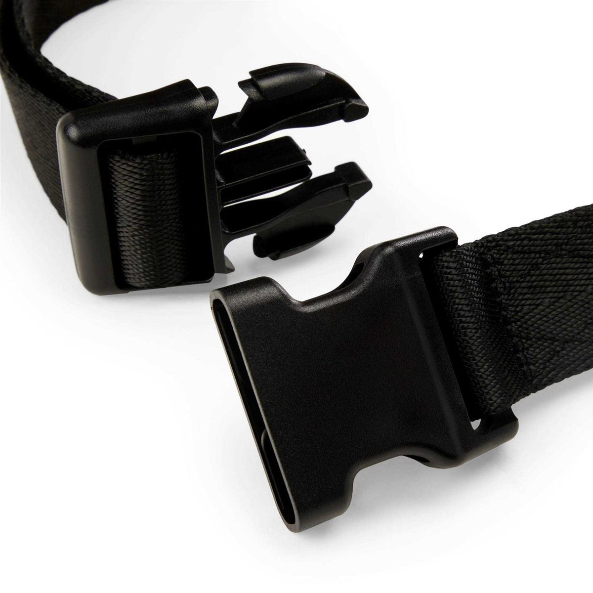 Adjustable Dog Collar Q41568