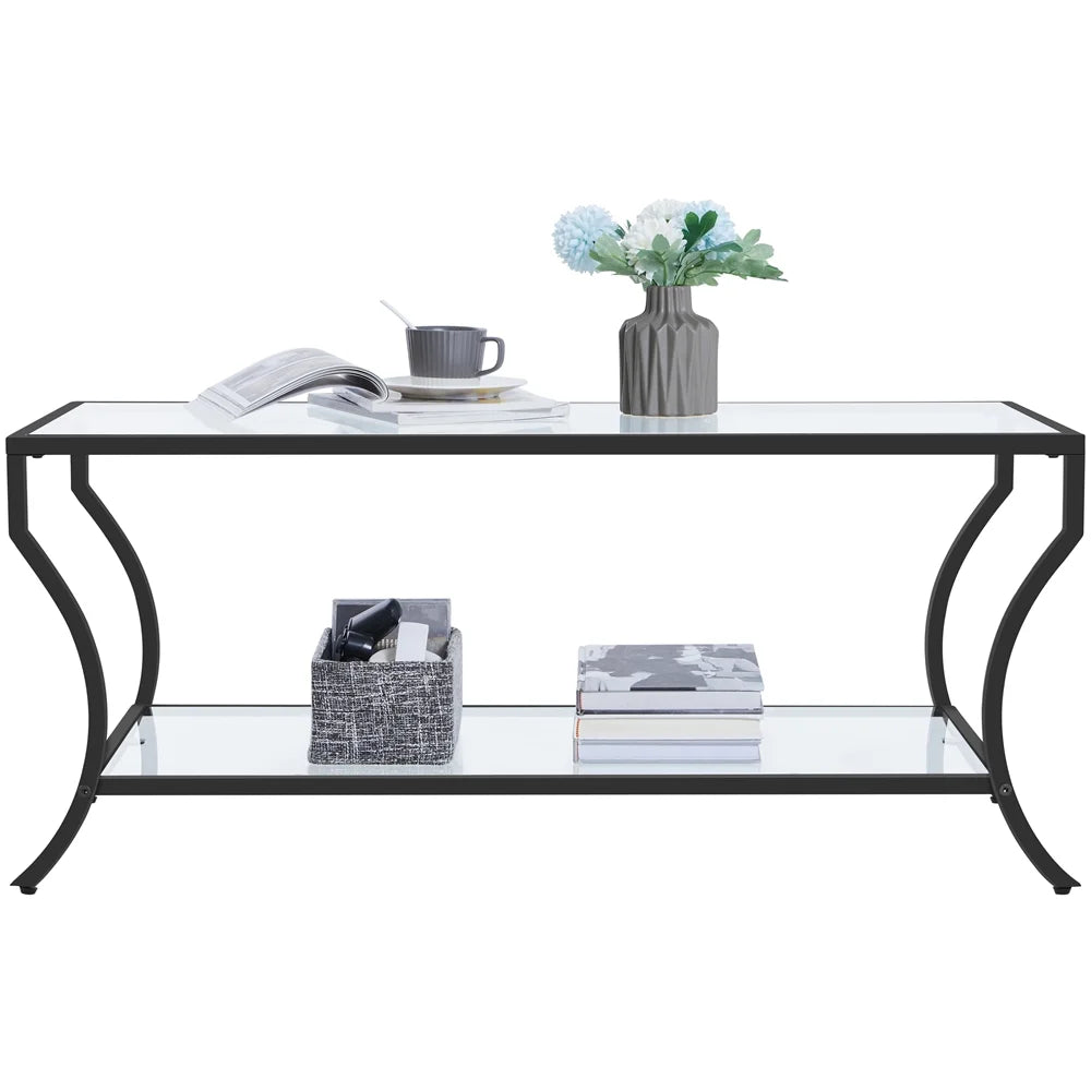 Black 2-tier Tempered Glass Coffee Table with Iron Frame C137