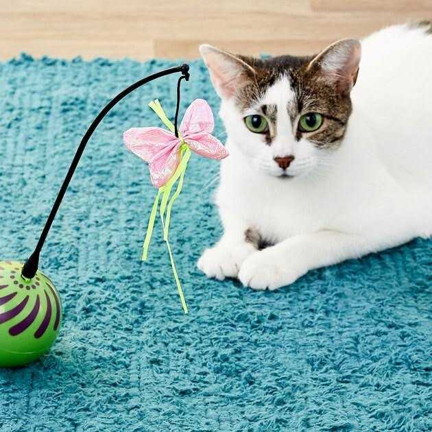 Feather Whirl Cat Toy H86037