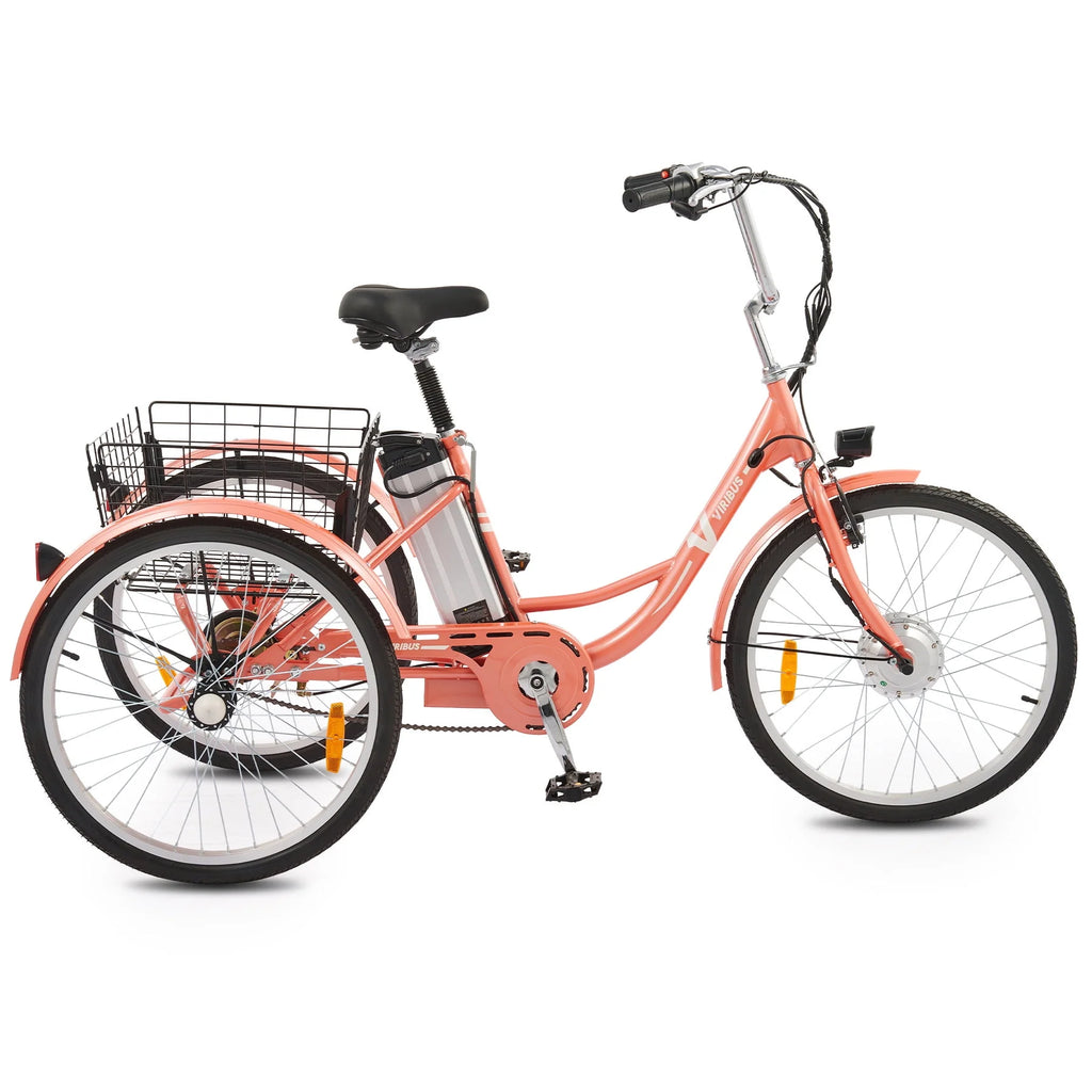 Electric Tricycle 250W Black P453