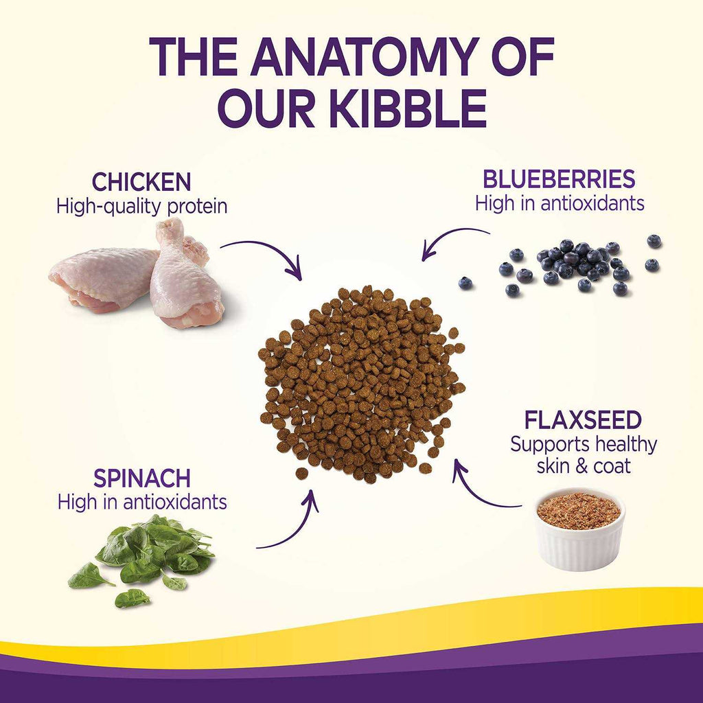 Chicken Dry Dog Food G546541