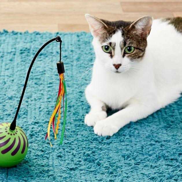 Feather Whirl Cat Toy H86037