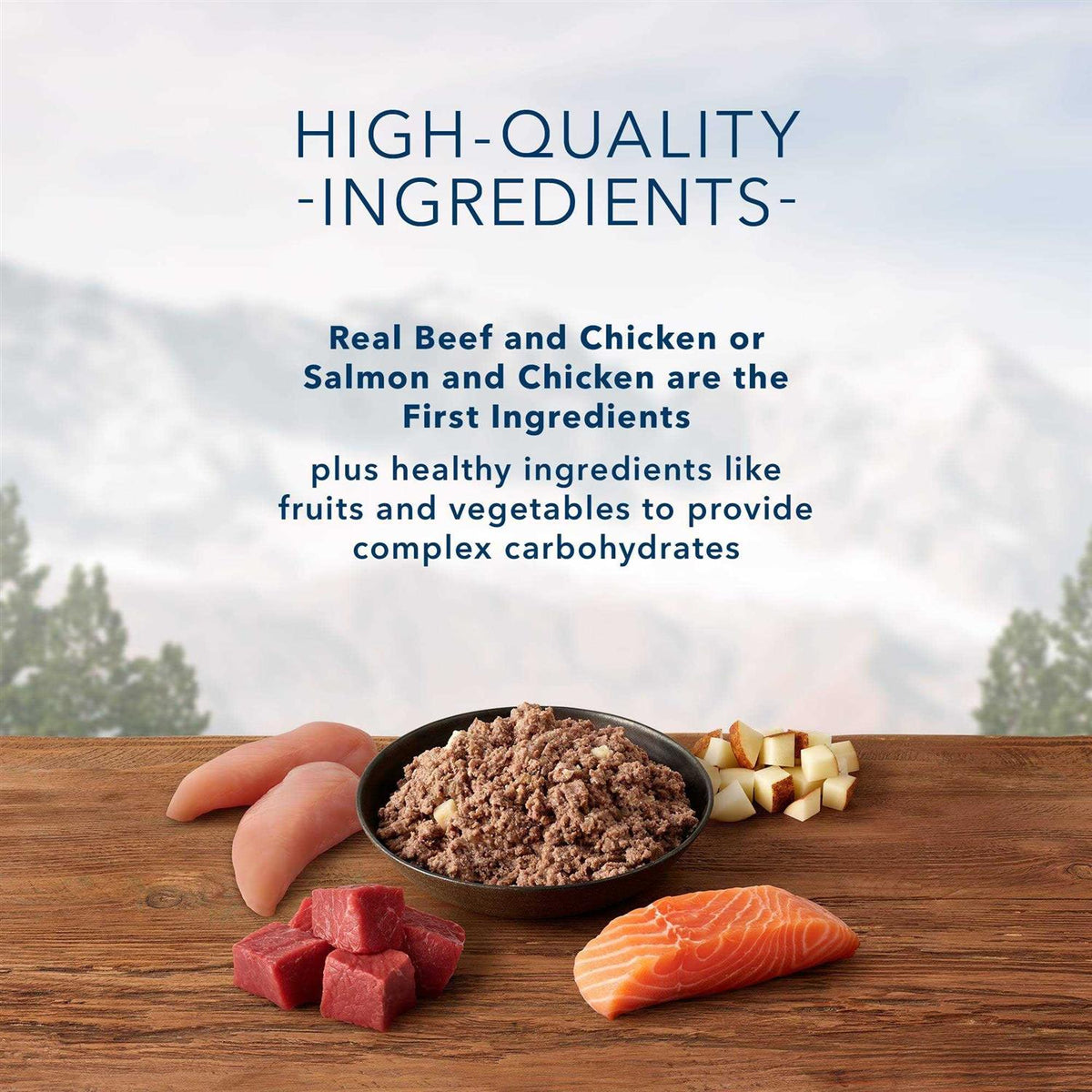 High Protein Beef & Salmon Adult Wet Dog Food Variety Pack Grain-Free D89796