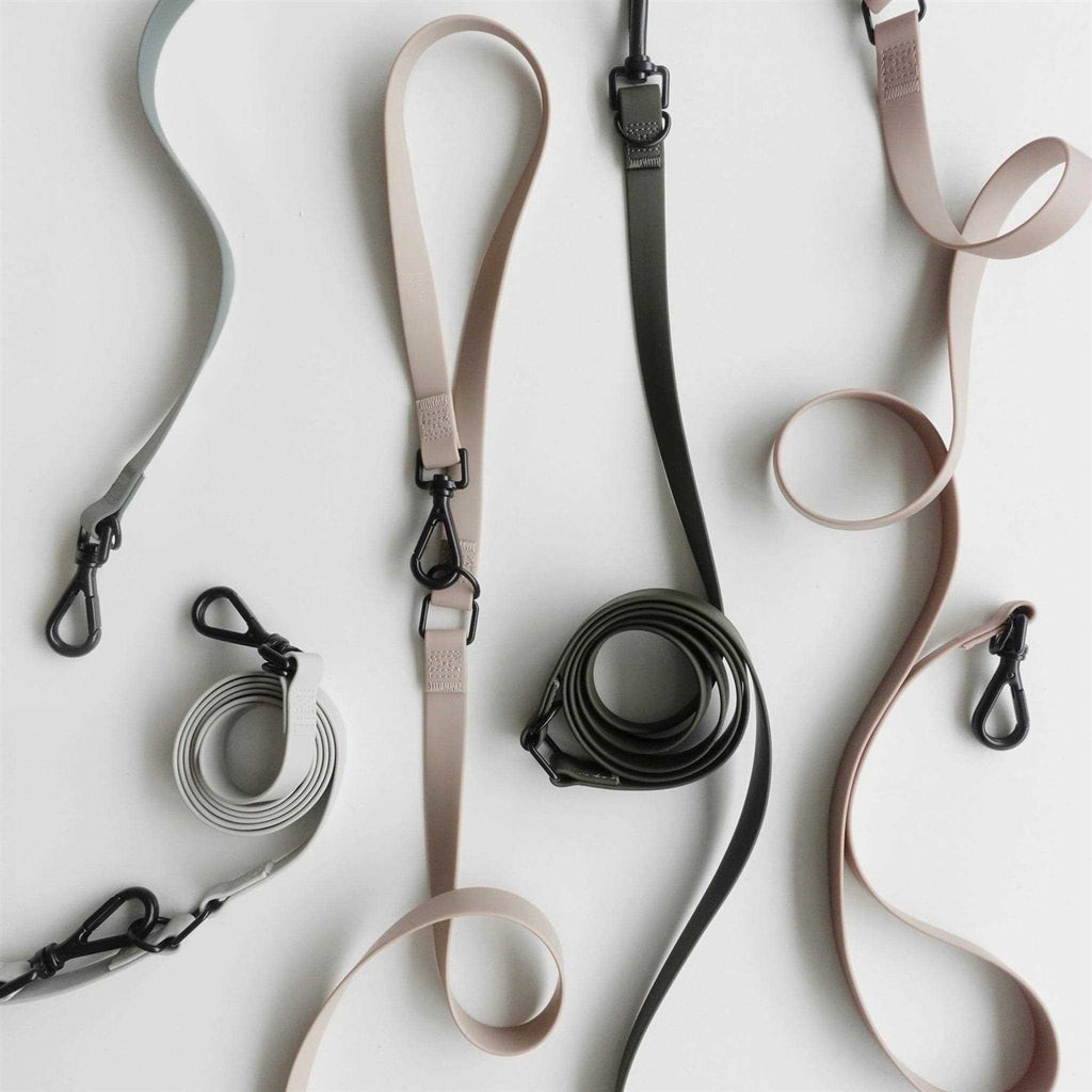 Hands Free Long Dog Leash V2233