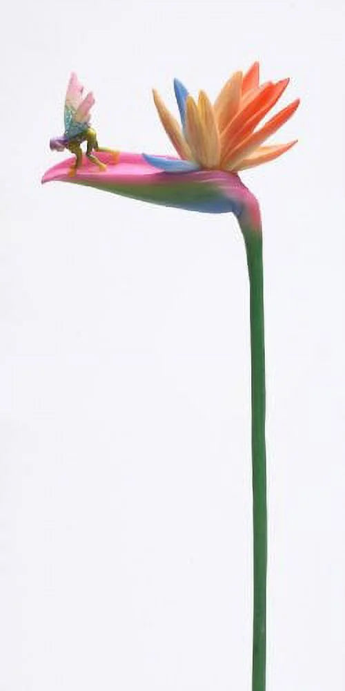 Bird of Paradise Statue Figurine P308